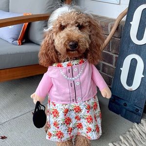 Frisco Walking Granny Dog Costume